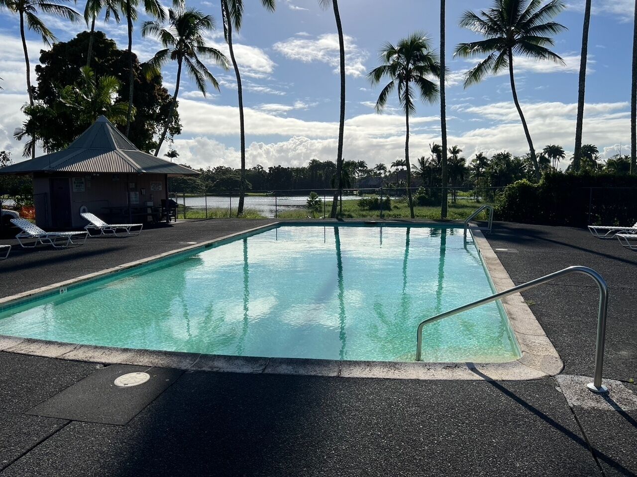 Una piscina con sillones de descanso y un pequeño pabellón, rodeado de palmeras.