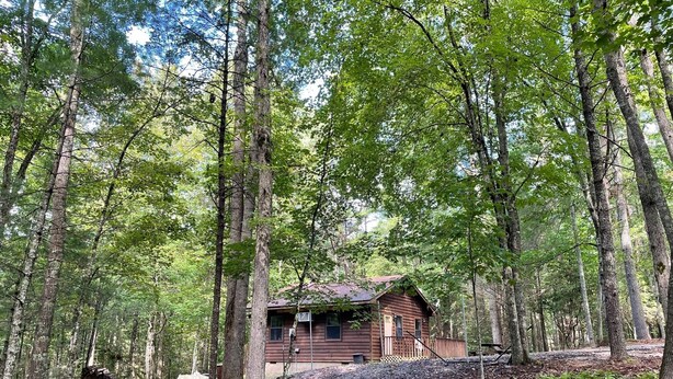 A rustic cabin surrounded by tall trees in a forest. - Private cozy cabin in the woods with great view! (Murphy)