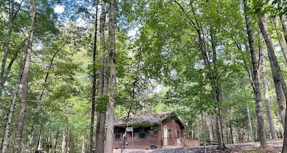 Private cozy cabin in the woods with great view!