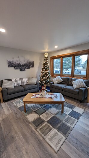 A living room with a Christmas tree, two sofas, a coffee table, and a rug. - Quiet Home Near Trails and Parks! (Indian River)