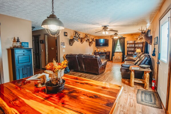 Smart TV, fireplace, DVD player, books