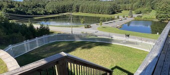 Little Beau - A Blueridge Parkway Retreat