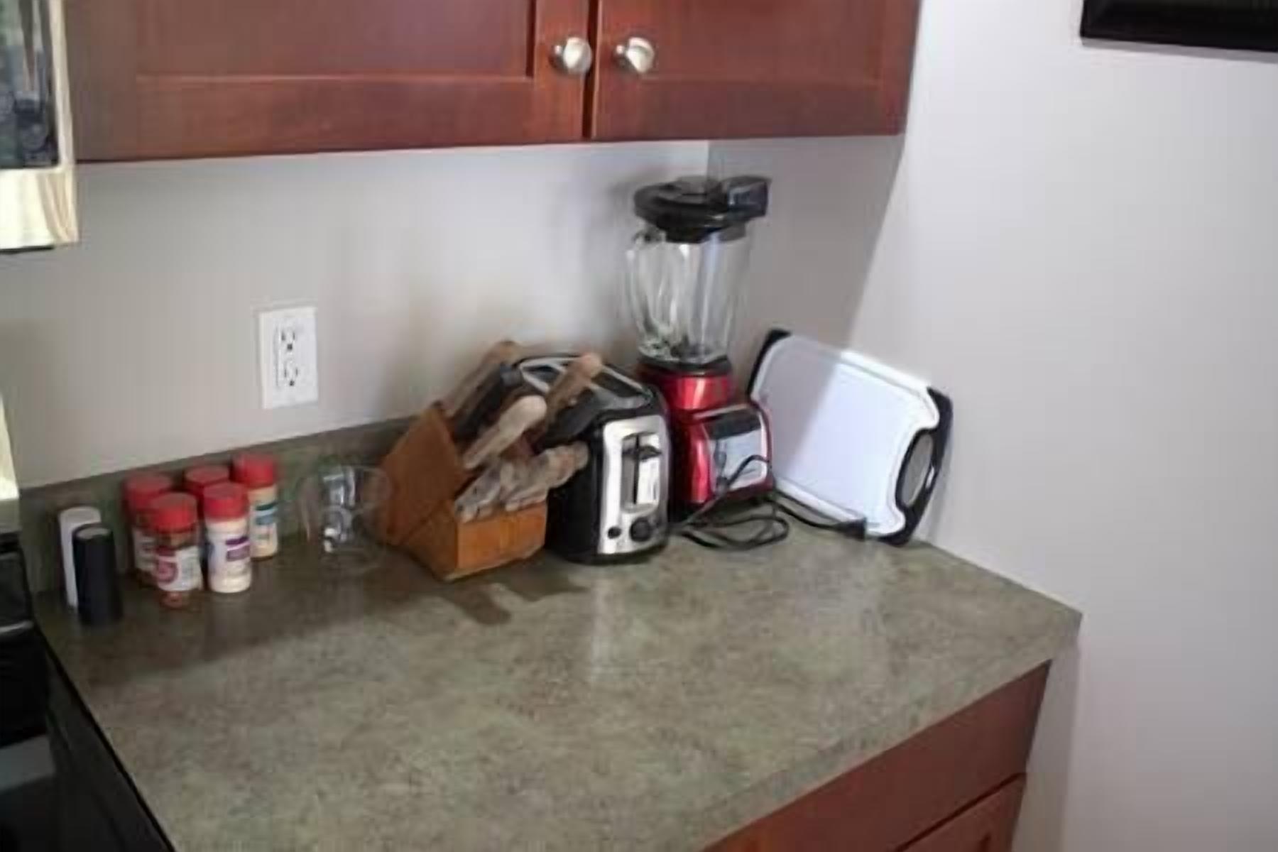 A kitchen counter with a blender, a toaster, and a spice rack.