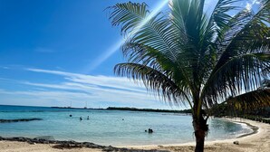 Una playa con una palmera, agua azul cristalina y una costa distante con barcos.