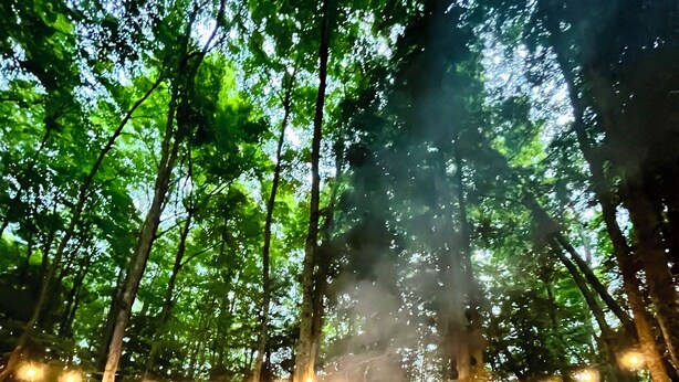 A campfire surrounded by rocks with two Adirondack chairs and string lights in a forest setting. - Relax at the Cozy Cabin, just a 5-min drive to it all (Harbor Springs)