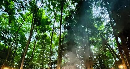 Relax at the Cozy Cabin, just a 5-min drive to it all