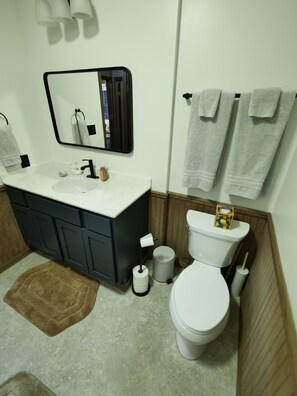 Hair dryer, towels, soap, shampoo - Relax at the Cozy Cabin, just a 5-min drive to it all (Harbor Springs)