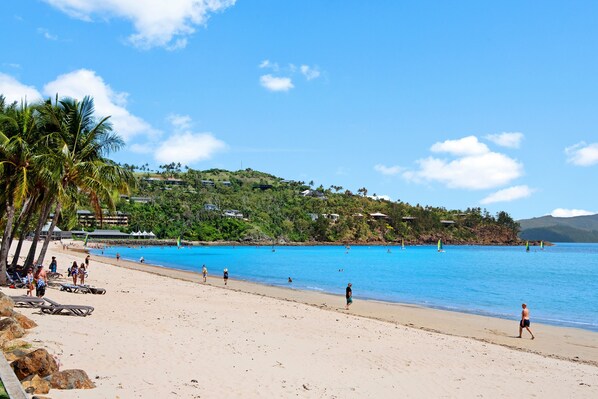 A beach with clear blue water, palm trees, and a hilly background with buildings.
