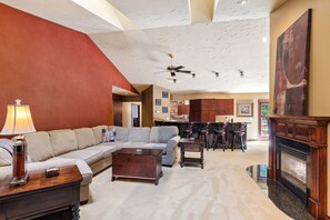 TV, fireplace, video games, books