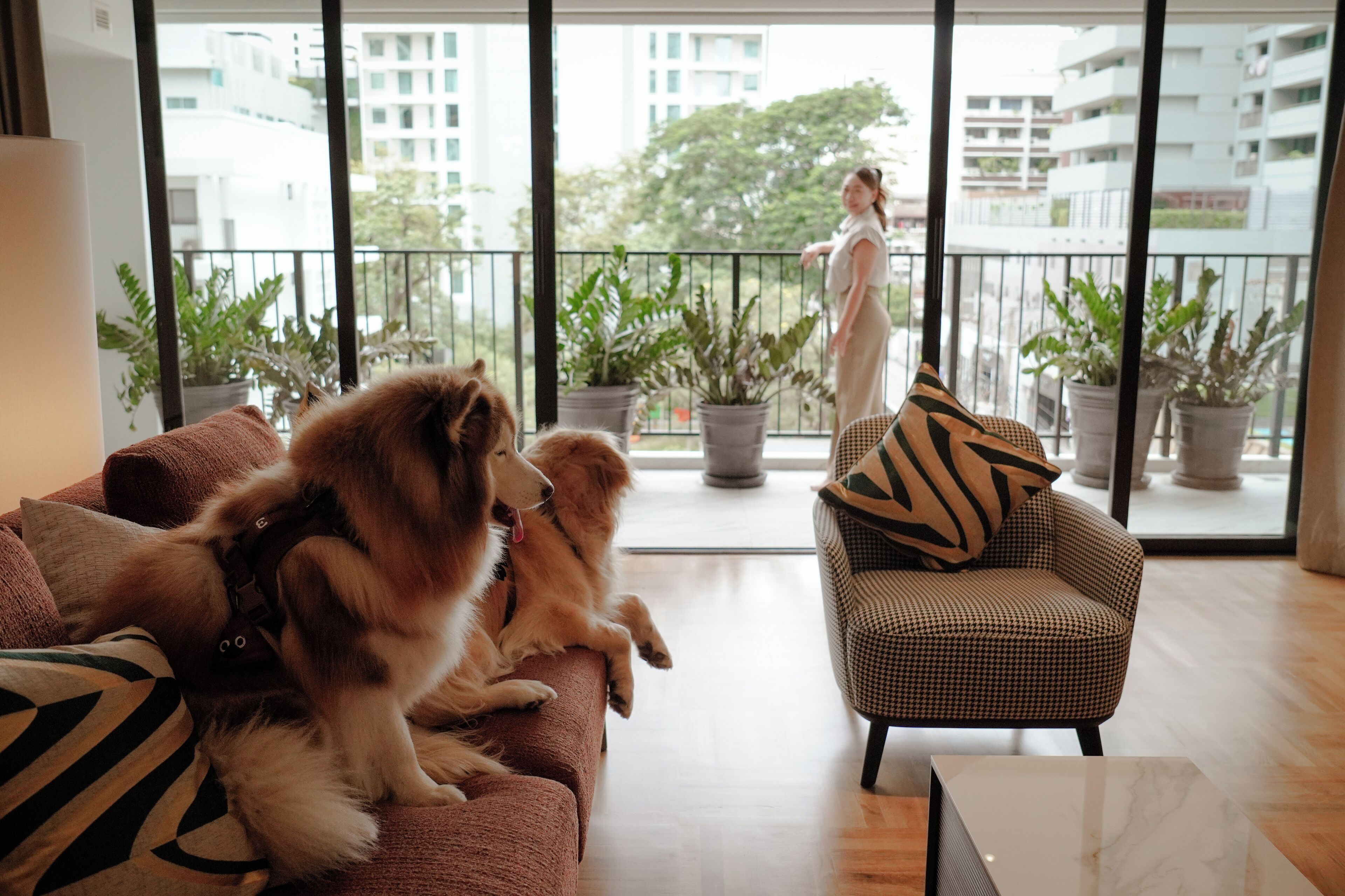 반려동물 동반 가능