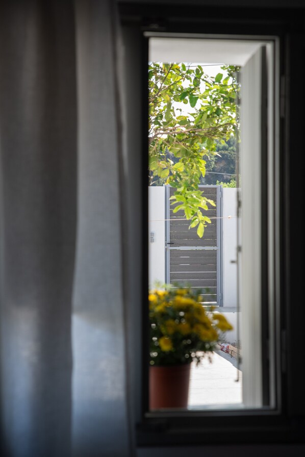 Una ventana con vista a una planta en maceta y una reja metálica en el exterior.