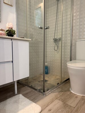 Shower, hair dryer