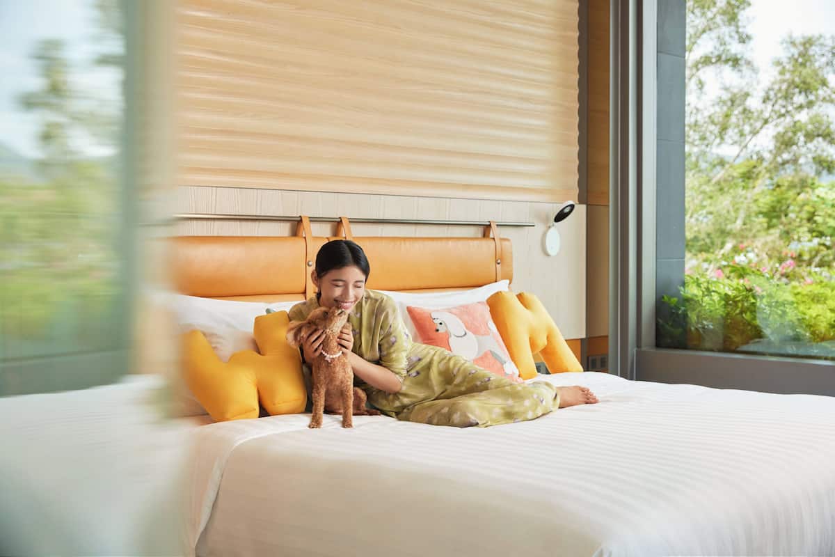 Eine Person sitzt mit einem Hund auf einem Bett, umgeben von Kissen und einem Kopfteil.