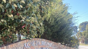 A brick wall with the sign "Acacia Rose Motor Inn".