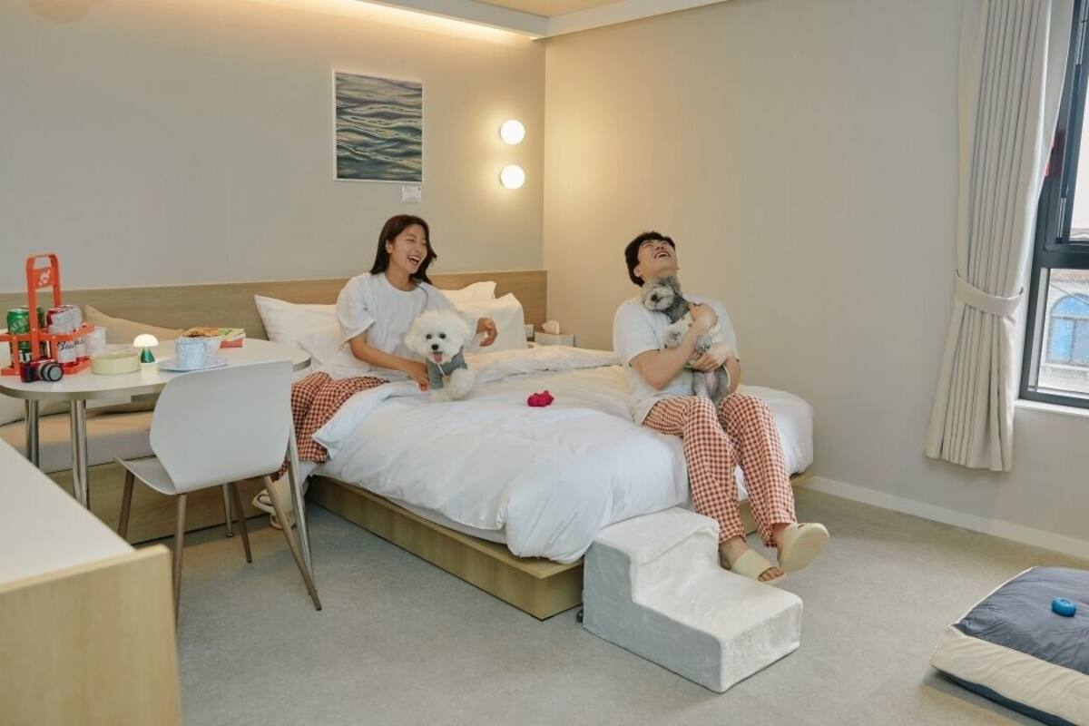 A hotel room with a bed, bedside table, and a window with curtains.