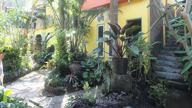 A garden pathway leading to a yellow building with a red roof, surrounded by lush tropical plants and a stone staircase. - OYO Life 90646 Villa Karsinem Pasuruan (Prigen)
