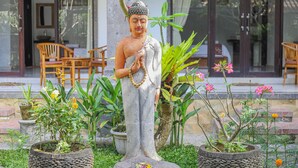 Deluxe Double Room | Pemandangan taman