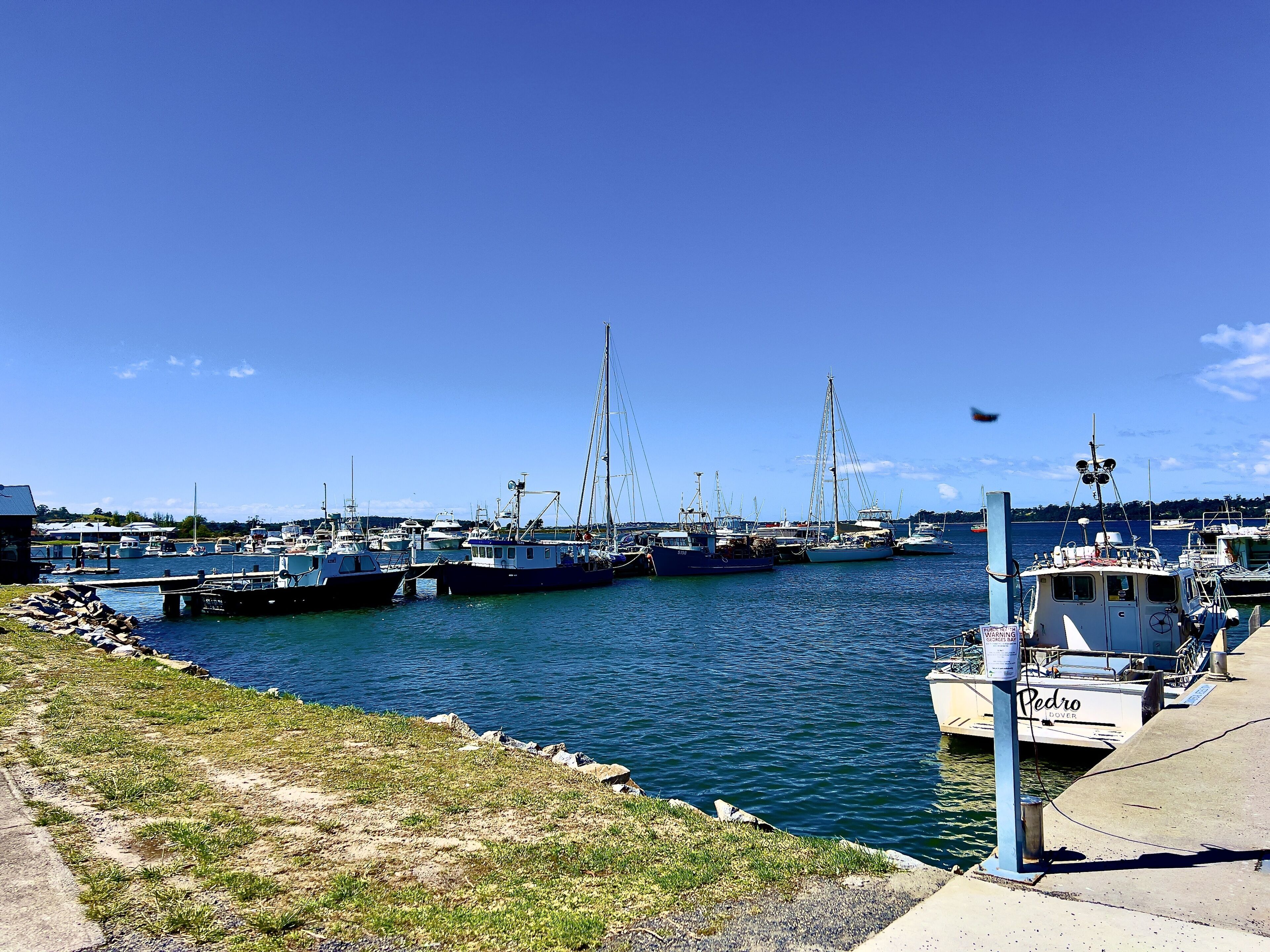 A marina with various boats docked, a grassy area, and a clear blue sky.