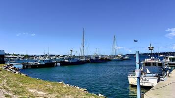 A marina with various boats docked, a grassy area, and a clear blue sky.