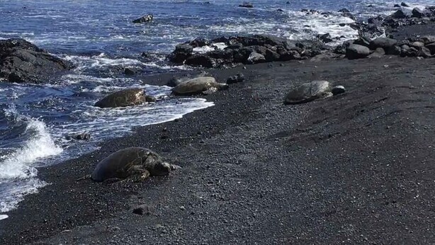 Une plage de roches volcaniques sombres, où les vagues viennent se briser sur le rivage.