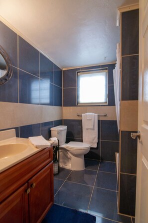 Combined shower/bathtub, towels - Seven Arches - Studio in Warwick (Warwick)