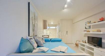 Sophia' s Studio