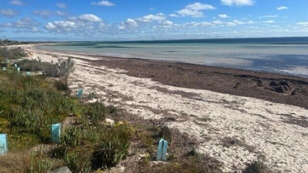 Una playa con cielos despejados y aguas tranquilas.