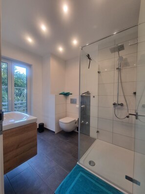 Shower, hair dryer, towels, soap
