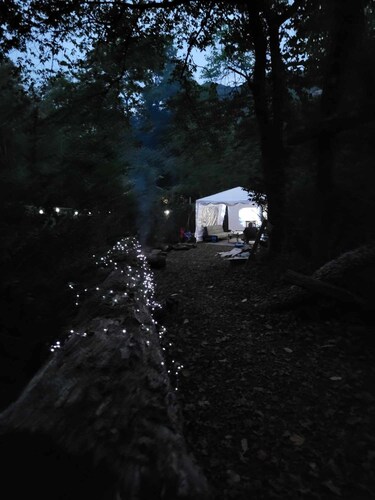 Mountain River RV Escape 12 min to downtown & Pet Friendly