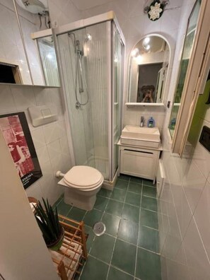 A bathroom with a toilet, shower, and sink.