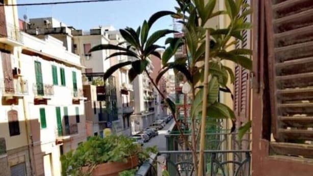 Ein Balkon mit Blumentöpfen, einem Metallgeländer und Blick auf eine Straße mit parkenden Autos und Gebäuden.