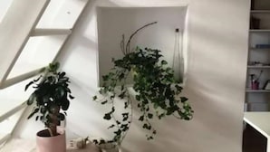 Ein Zimmer mit weißer Decke, weißer Wand und weißem Boden. Gegen die Wand lehnt ein weißes Regal, und ein weißer Stuhl mit weißem Kissen steht daneben.