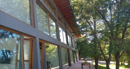 Concierto de Armonía Natural