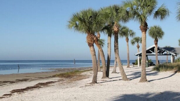 A beach with palm trees and a covered pavilion. - Cozy Remodeled House! (Port Richey)