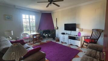 Een televisie, een open haard, een dvd-speler en boeken