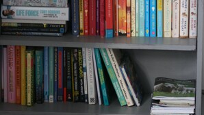 Une bibliothèque remplie de divers ouvrages, un tableau décoratif représentant une plume et une bougie posée sur un meuble gris.