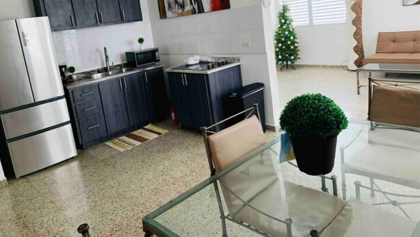 A modern kitchen with dark cabinets, a stainless steel refrigerator, and a microwave. There is a small Christmas tree and a potted plant in the living area. - La Casa Blanca 1 (Carolina)