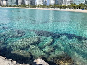 A clear view of a beach with a rocky shoreline, a sandy beach, and a backdrop of high-rise buildings. - Luxurious 4Bdr with a pool, blocks to beach (Surfside)
