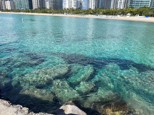 Luxurious 4Bdr with a pool, blocks to beach