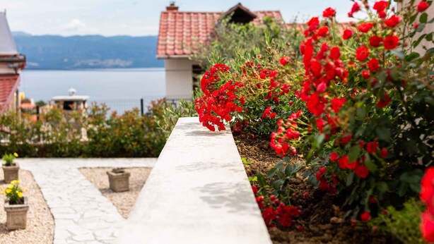 Un sendero en un jardín con flores rojas y vistas a un lago y montañas al fondo.