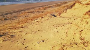 A sandy beach with dunes and a clear view of the ocean. - Jolie Maison en Bois, Tout Confort, Proche Océan (Vielle-Saint-Girons)