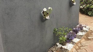 A grey wall with three flower pots, each containing white flowers. - Gorgeous 1-bed Apartment in Harare (Harare)