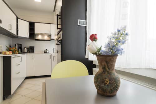 Deluxe Apartment | Private kitchen