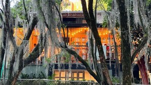 A building with a warm interior, surrounded by trees with hanging moss. - Muuk Boutique Hotel Campestre (Medellín)