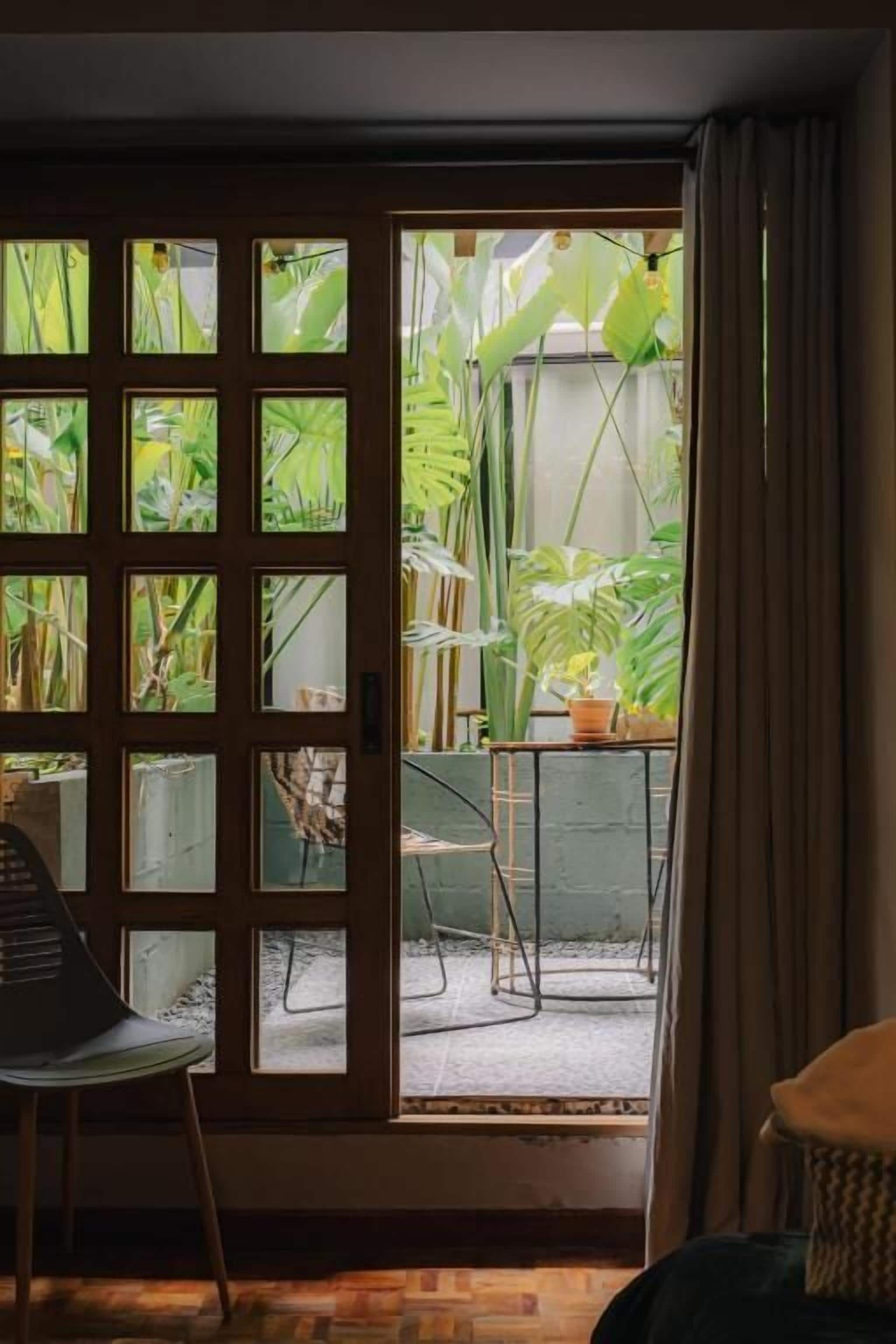 A room with a view of a garden through a window with multiple panes.