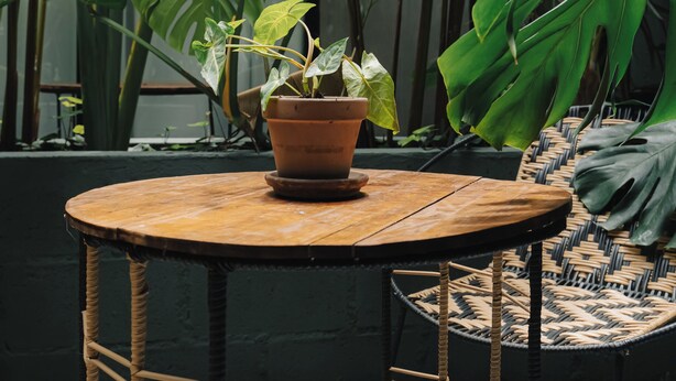 A round wooden table with a potted plant, surrounded by large green leaves and a wicker chair. - Muuk Boutique Hotel Campestre (Medellín)