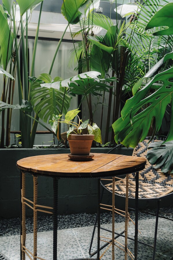 Une table ronde en bois, sur laquelle est posée une plante en pot, entourée de grandes feuilles vertes et d’une chaise en osier.