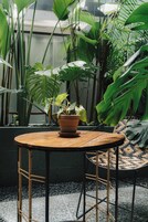 Una mesa redonda de madera con una planta en maceta, rodeada de grandes hojas verdes y una silla de mimbre.