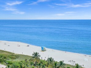 بالقرب من الشاطئ