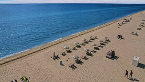 A beach with rows of sun loungers and umbrellas, a clear blue sky, and the ocean in the background. - Cozy 2 Bedroom Ocean View / Beach Service / 707 (Miami Beach)